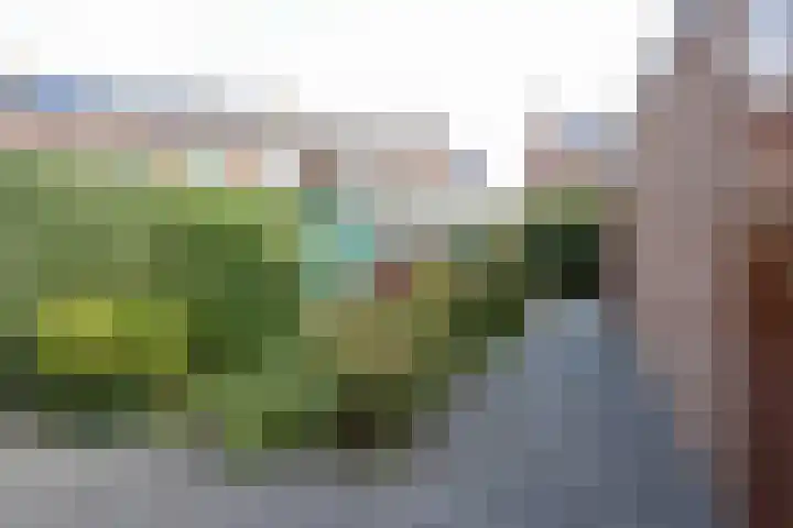 Pendersstraat 3 Klimmen thumbnail 14