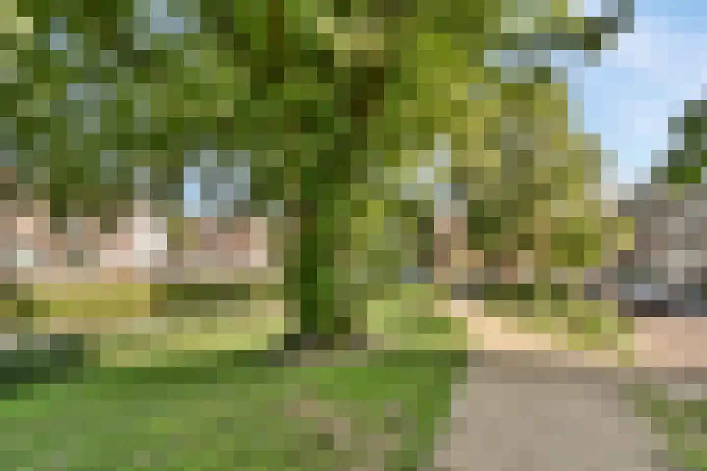 Pendrechtstraat 27 A Rotterdam thumbnail 26