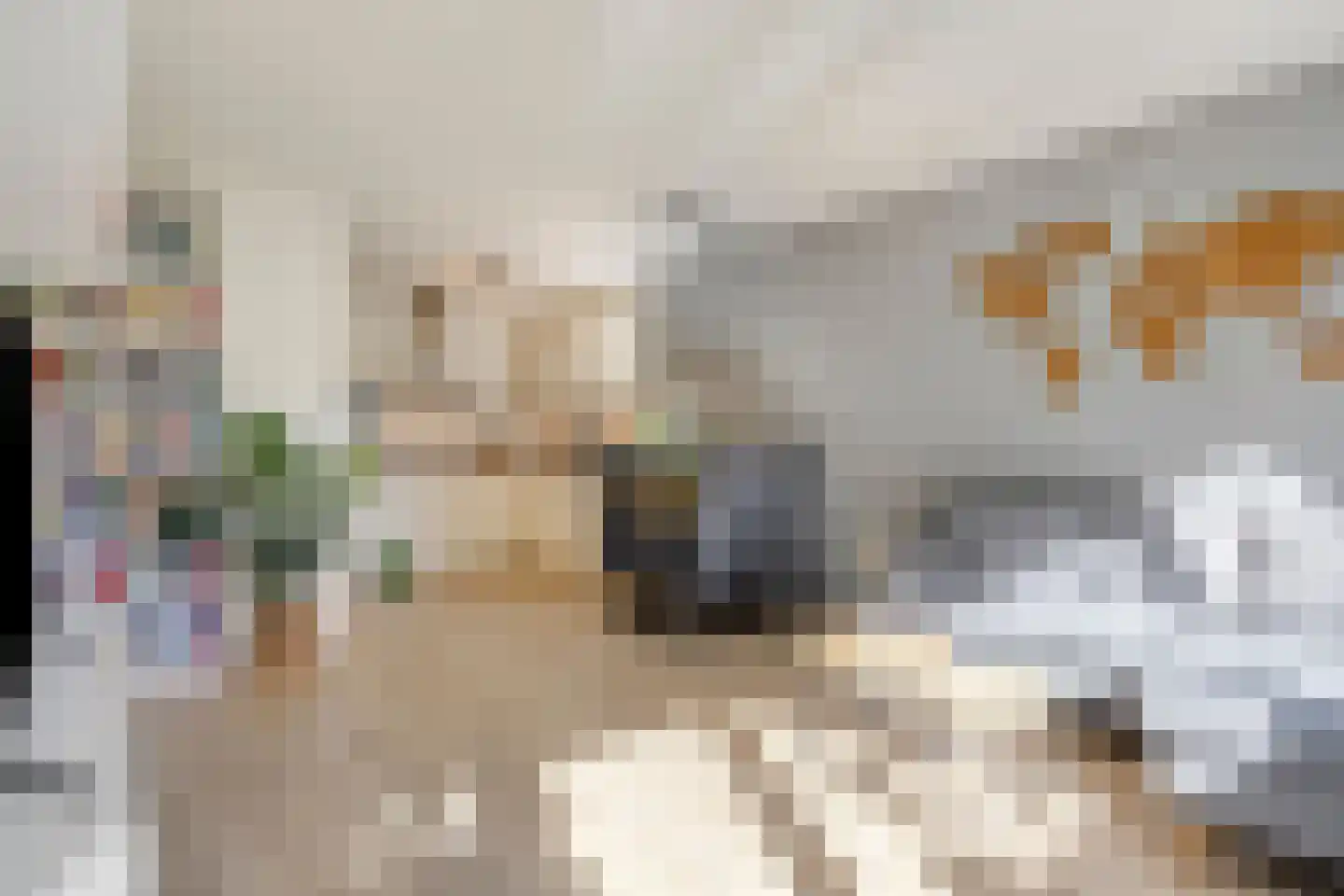 Penelopestraat 11 Eindhoven thumbnail 18