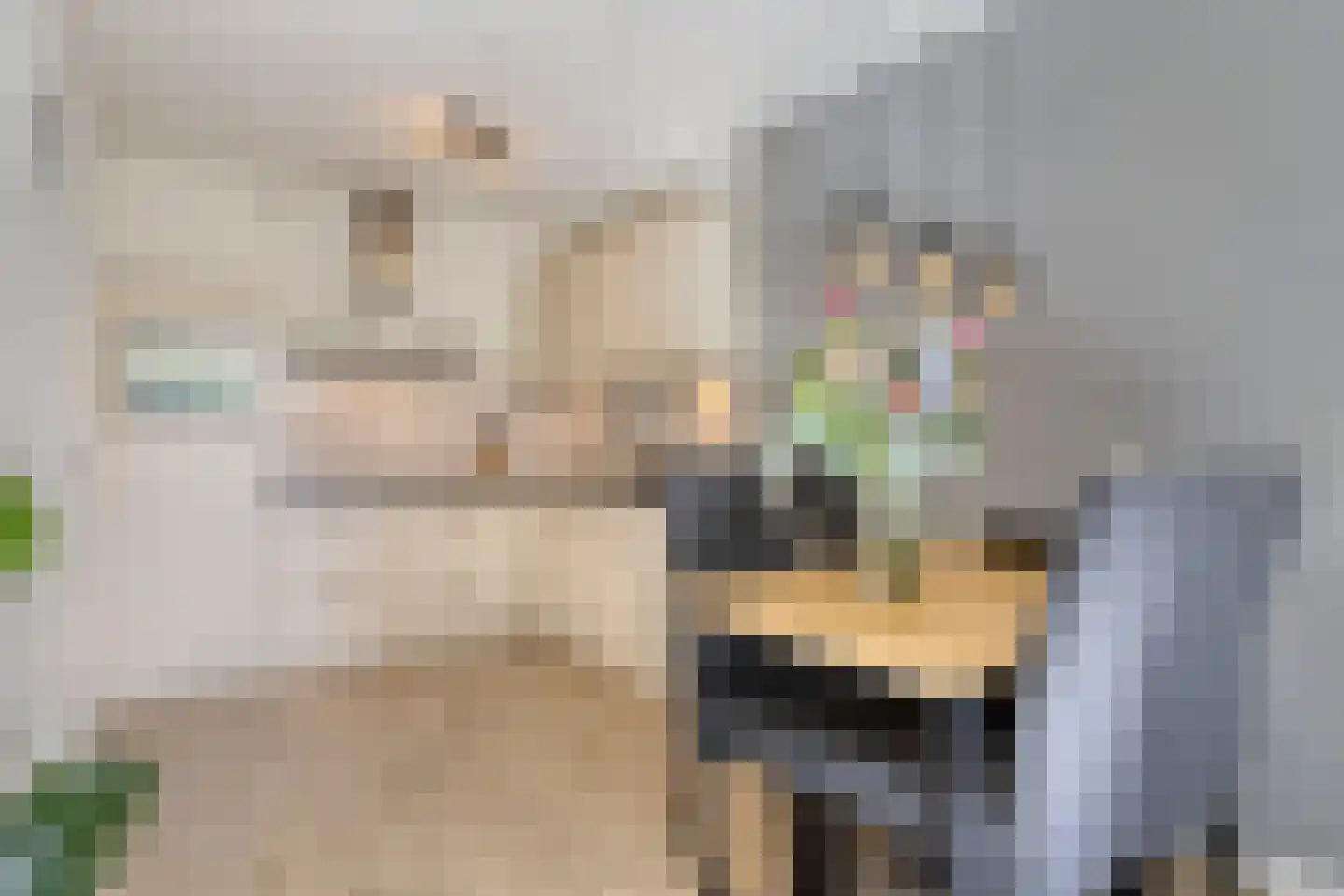 Penelopestraat 11 Eindhoven thumbnail 19