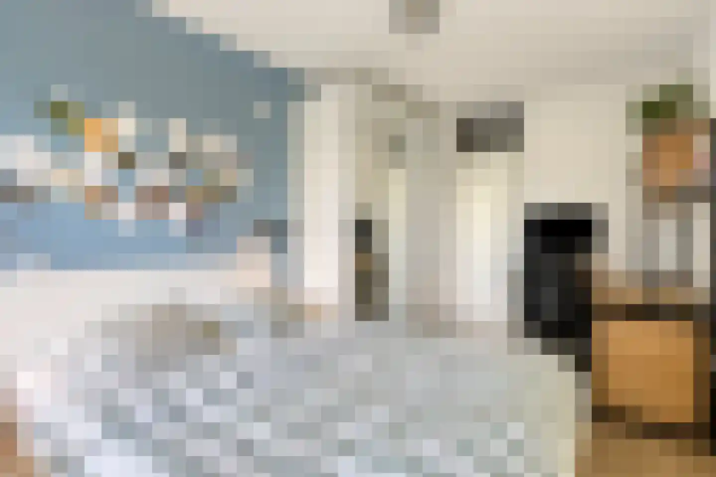 Penelopestraat 11 Eindhoven thumbnail 25