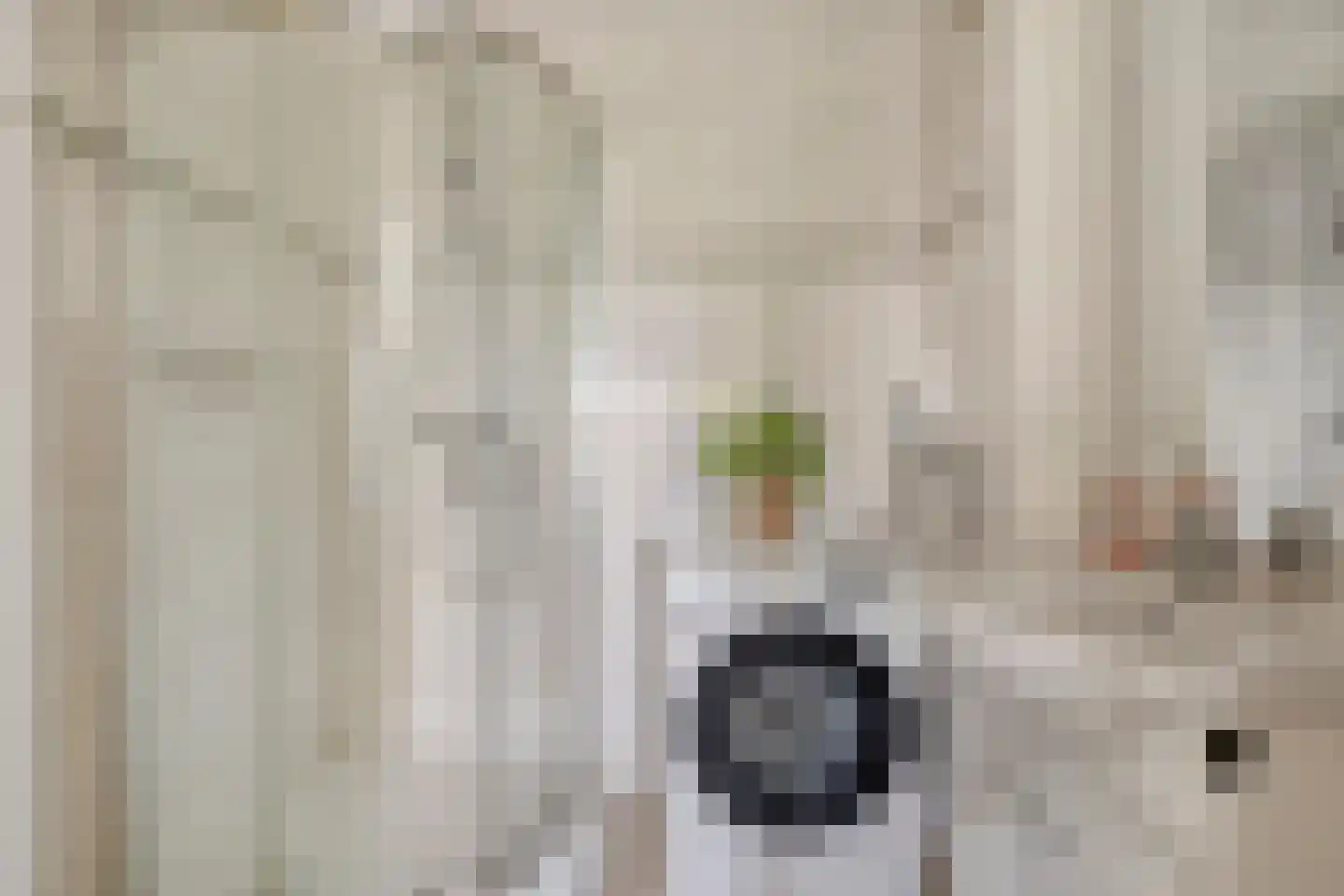 Penelopestraat 11 Eindhoven thumbnail 27