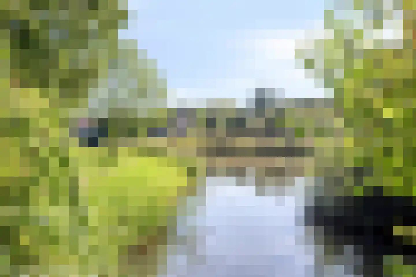 Penelopestraat 11 Eindhoven thumbnail 33