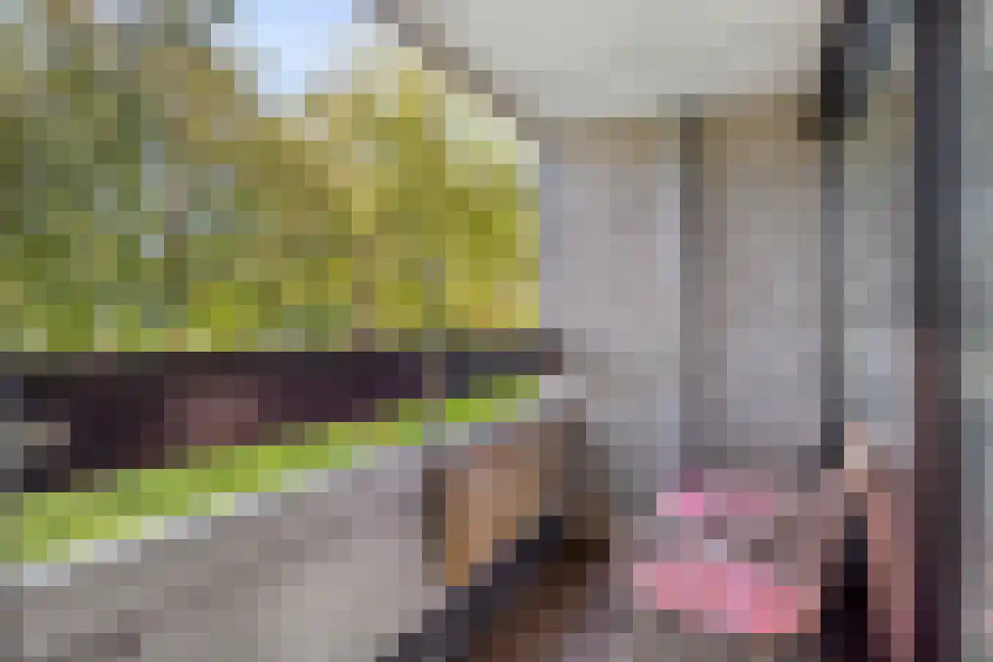 Penelopestraat 11 Eindhoven thumbnail 4