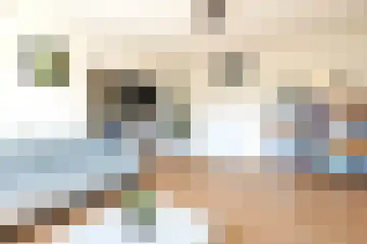 Penelopestraat 121 Eindhoven thumbnail 18