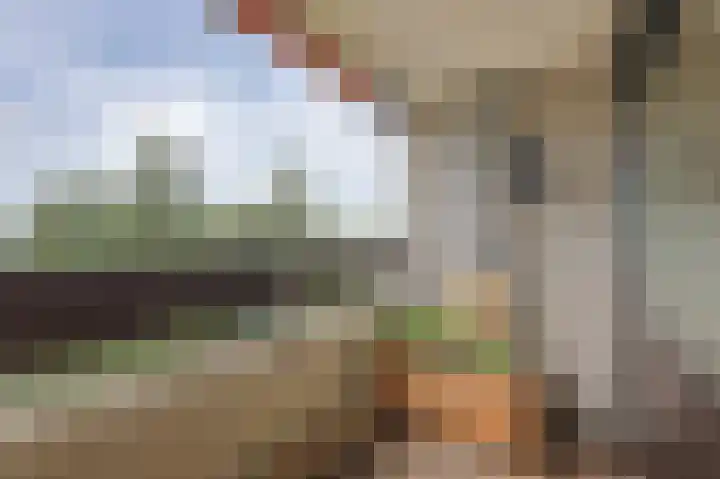 Penelopestraat 121 Eindhoven thumbnail 25