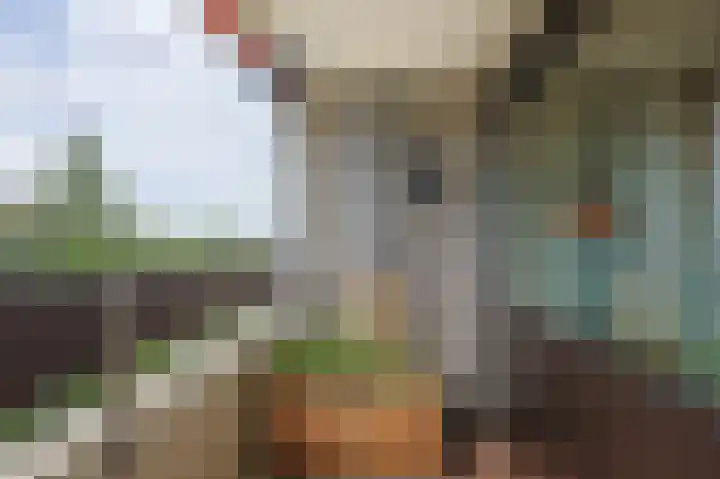 Penelopestraat 121 Eindhoven thumbnail 26