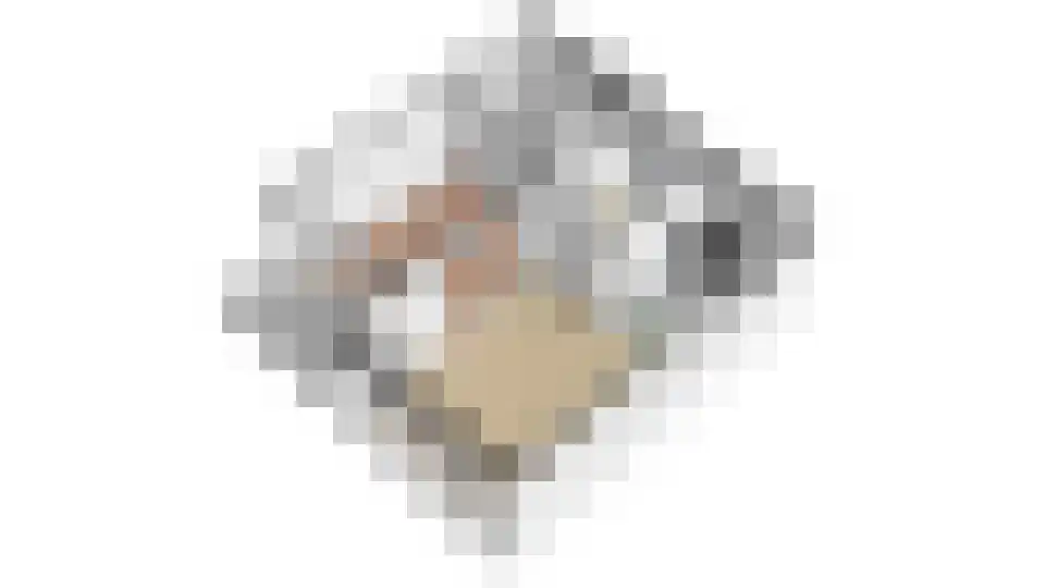 Penelopestraat 129 Eindhoven thumbnail 36