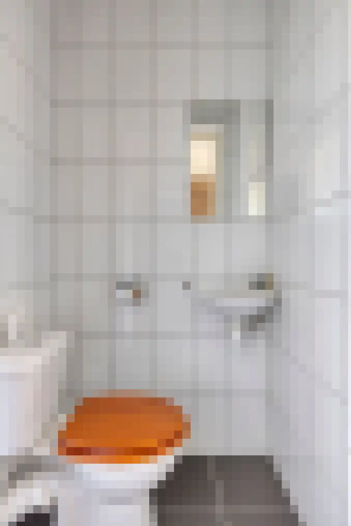 Penelopestraat 143 Eindhoven thumbnail 18