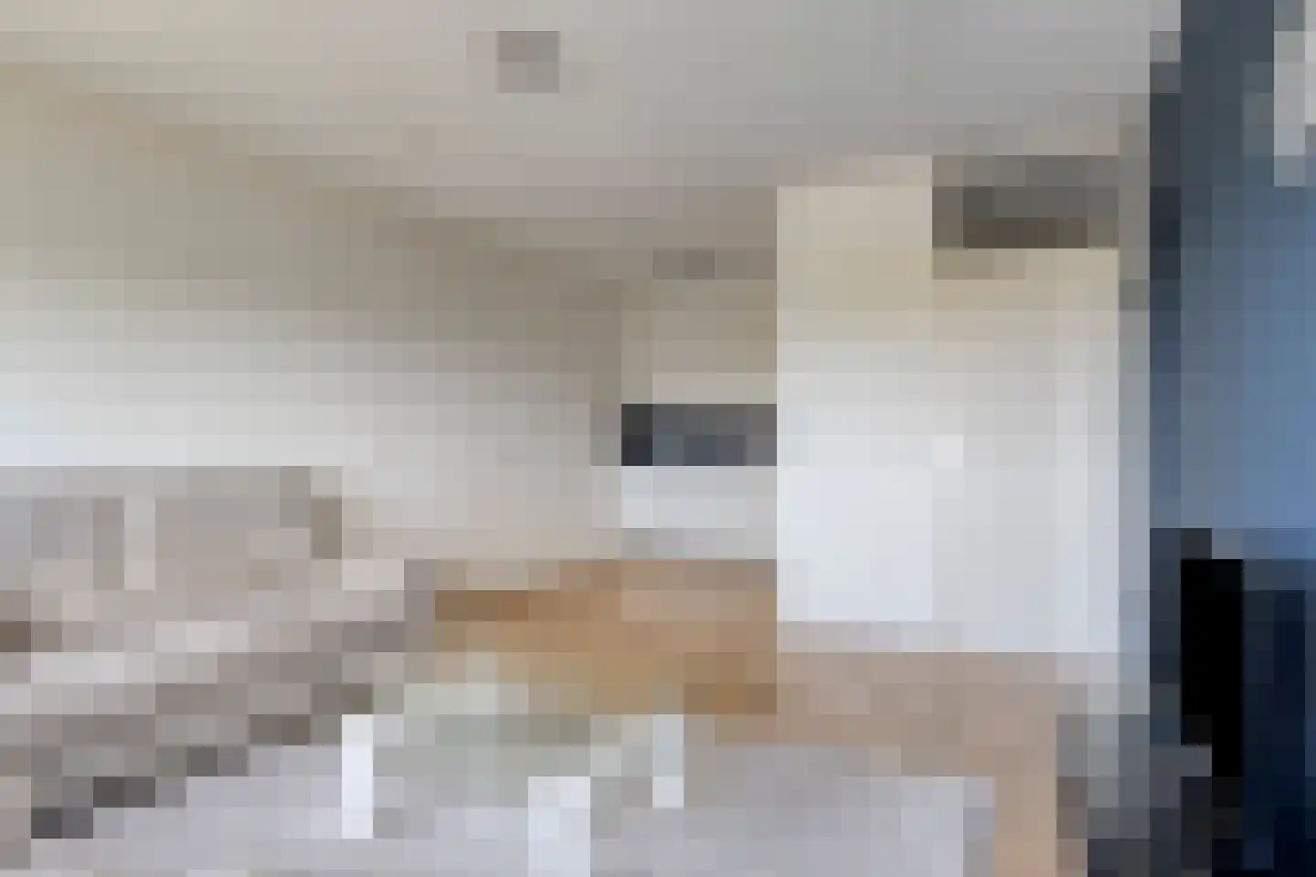 Penelopestraat 143 Eindhoven thumbnail 21
