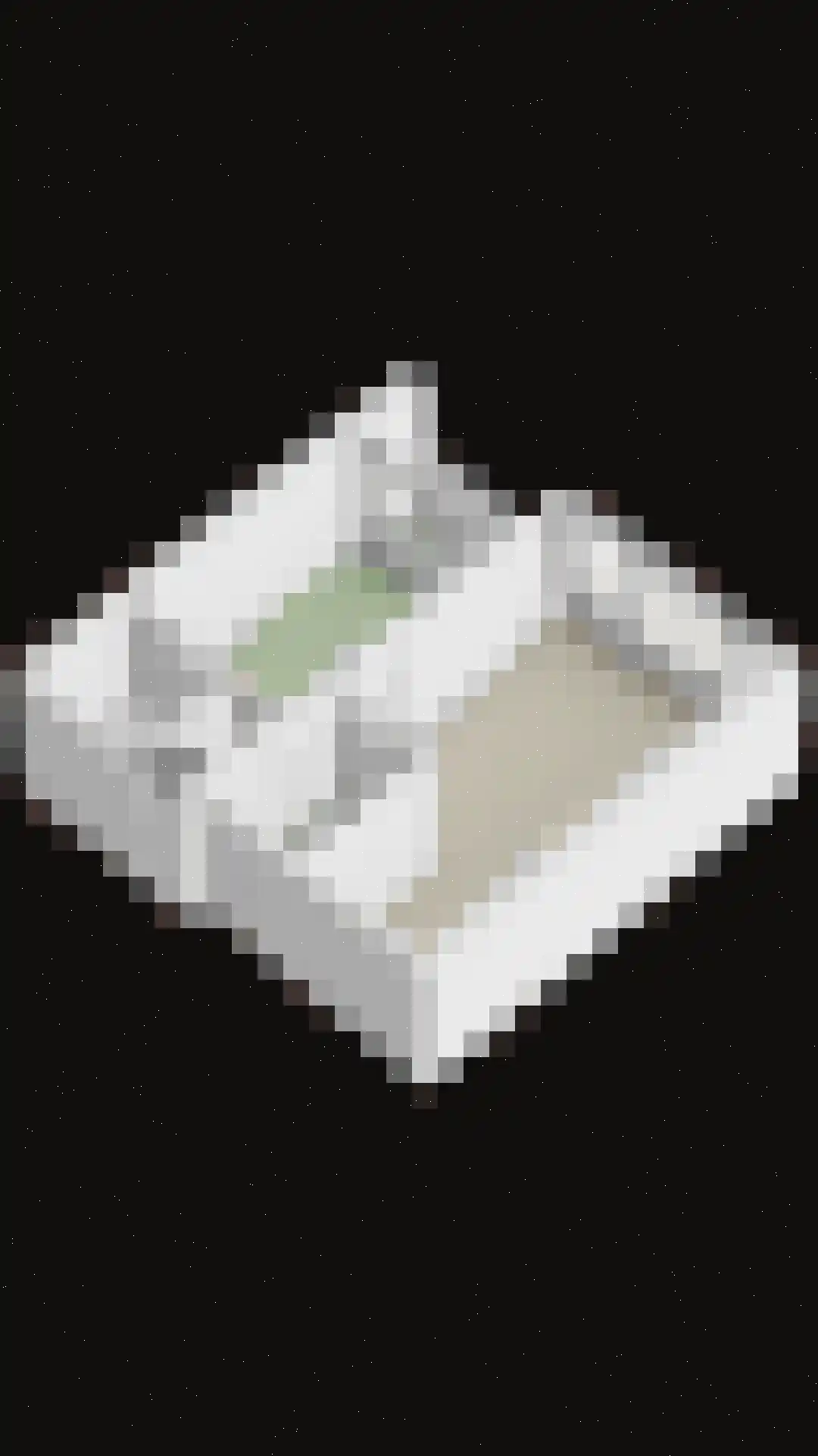 Penelopestraat 143 Eindhoven thumbnail 38