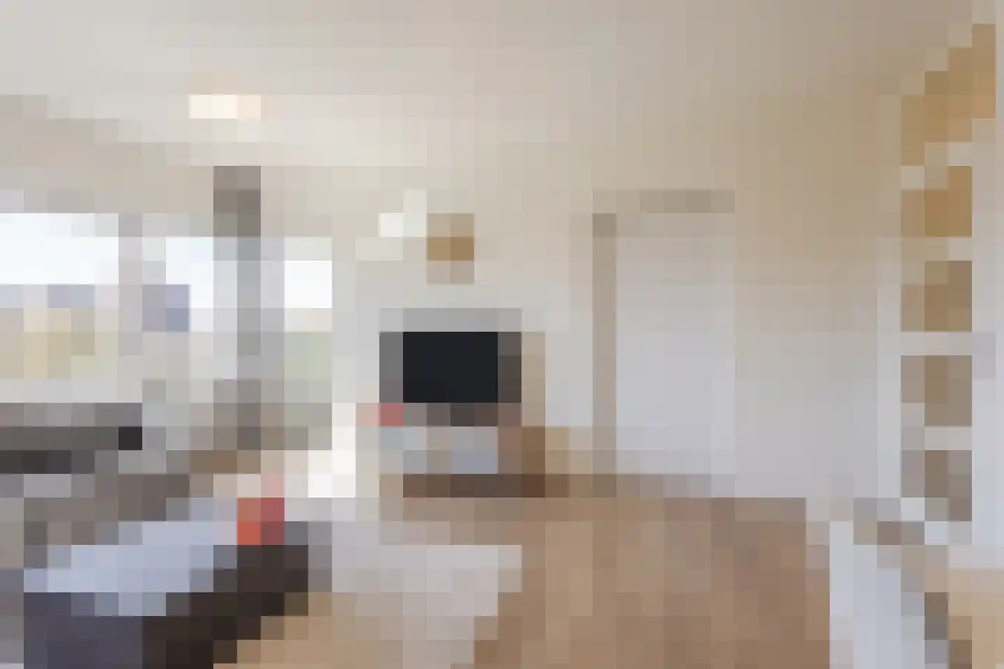 Penelopestraat 155 Eindhoven thumbnail 15