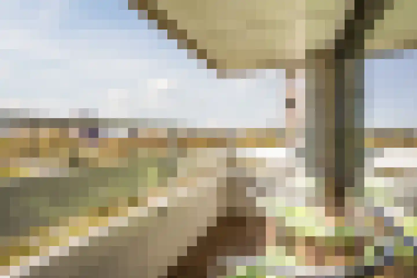 Penelopestraat 155 Eindhoven thumbnail 17