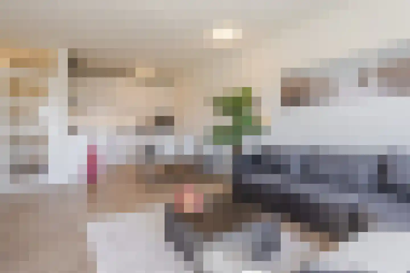 Penelopestraat 155 Eindhoven thumbnail 9