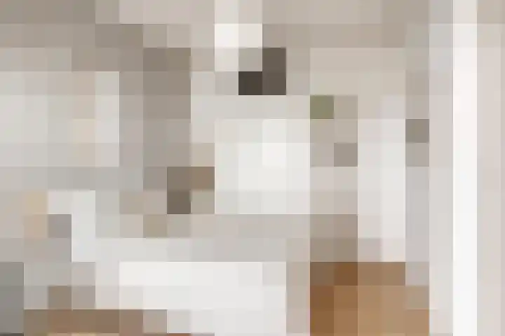 Penelopestraat 185 Eindhoven thumbnail 14
