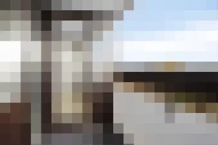 Penelopestraat 185 Eindhoven thumbnail 18