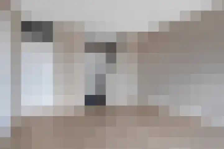 Penelopestraat 185 Eindhoven thumbnail 8