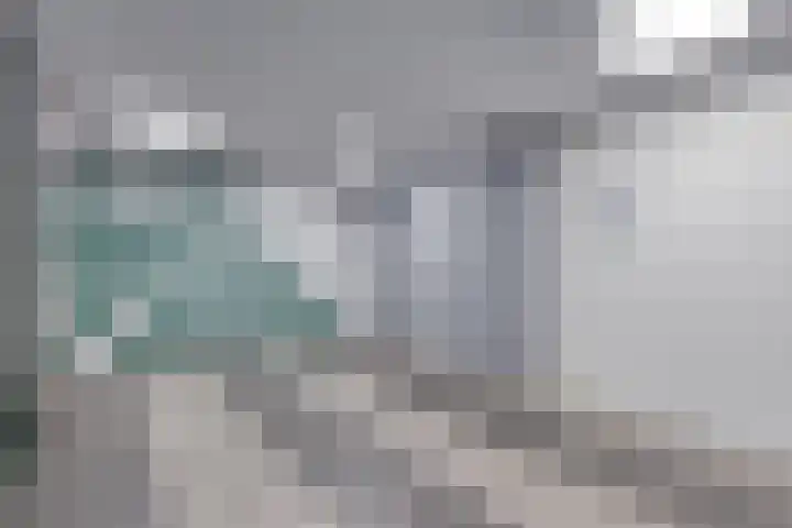Penelopestraat 195 Eindhoven thumbnail 24