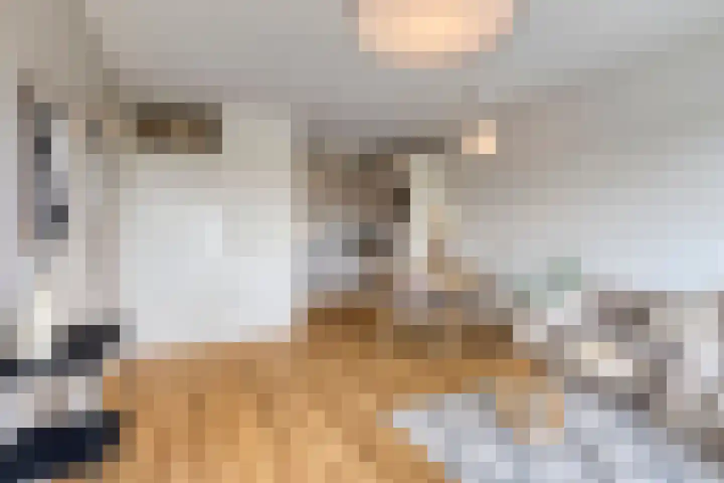 Penelopestraat 213 Eindhoven thumbnail 10