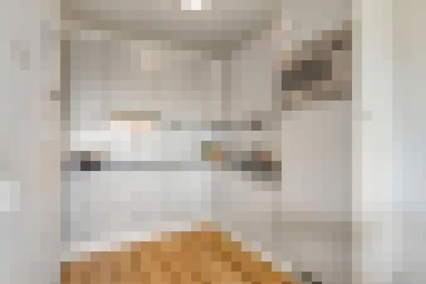 Penelopestraat 213 Eindhoven thumbnail 12