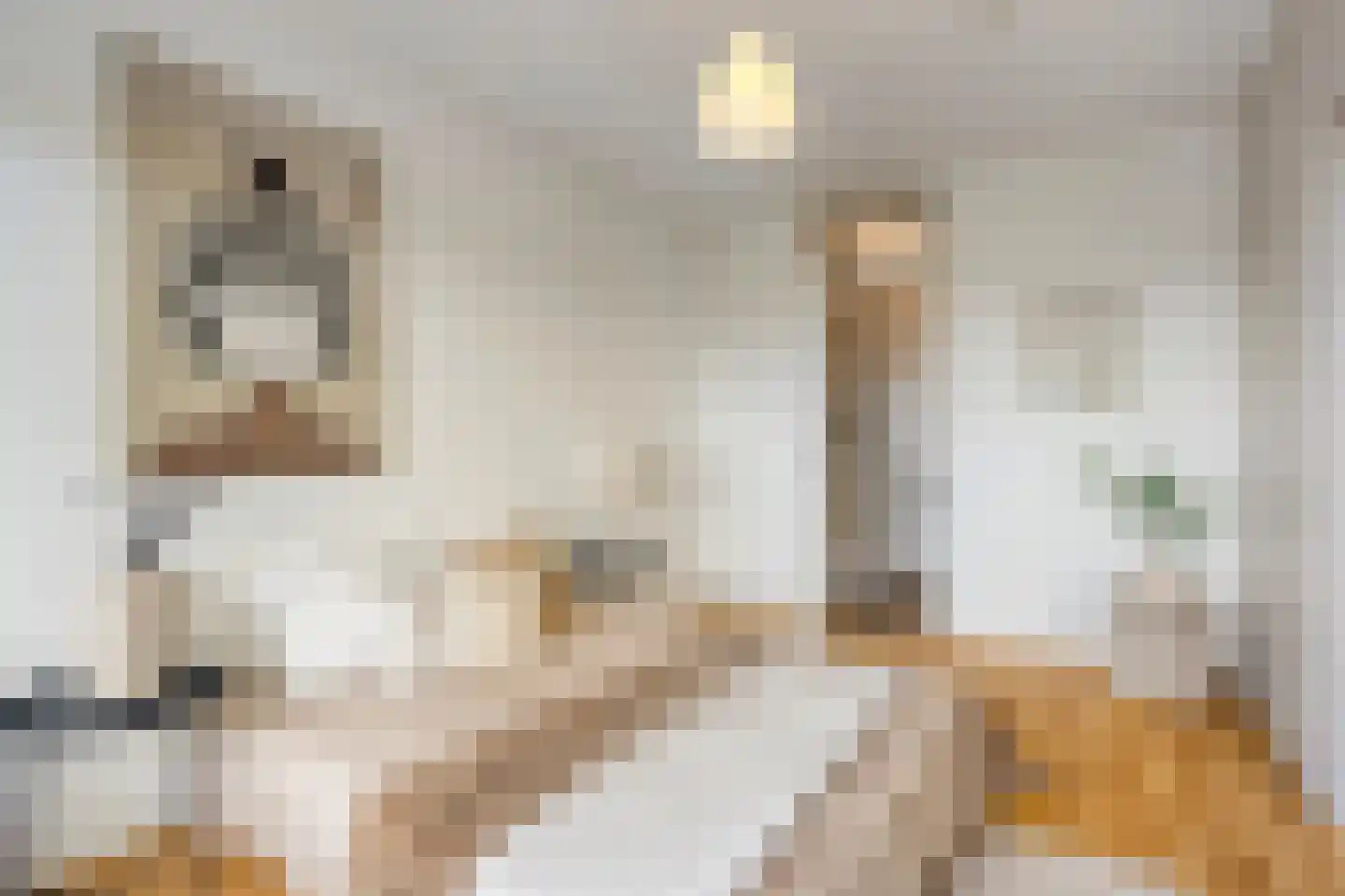 Penelopestraat 213 Eindhoven thumbnail 18