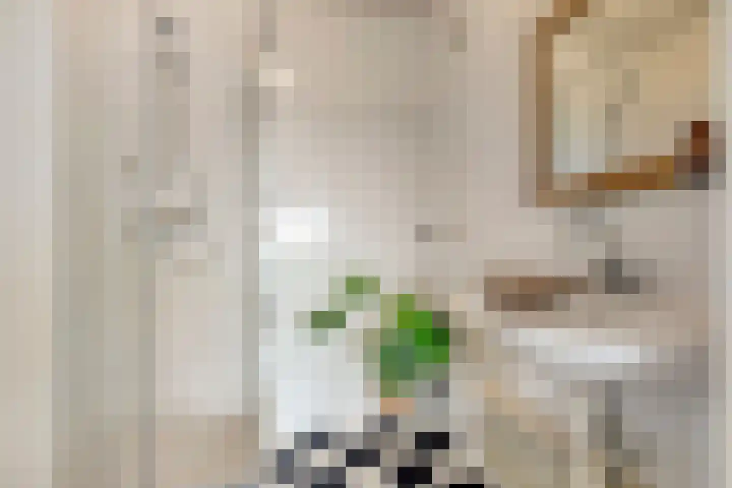 Penelopestraat 213 Eindhoven thumbnail 19