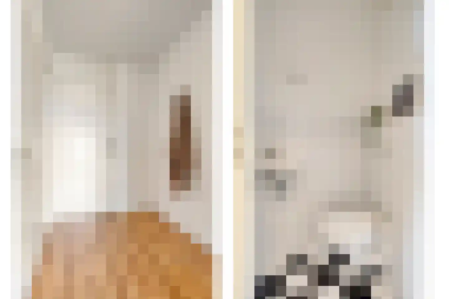 Penelopestraat 213 Eindhoven thumbnail 5