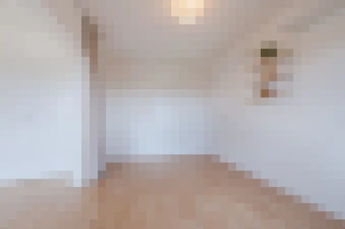 Penelopestraat 221 Eindhoven thumbnail 15