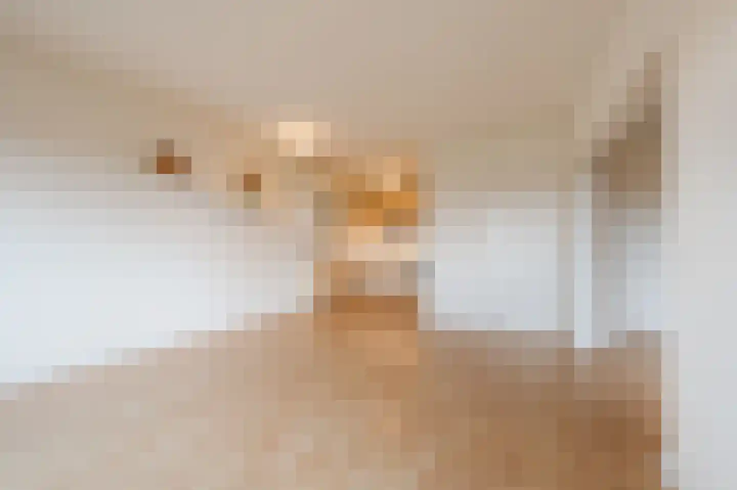 Penelopestraat 221 Eindhoven thumbnail 17