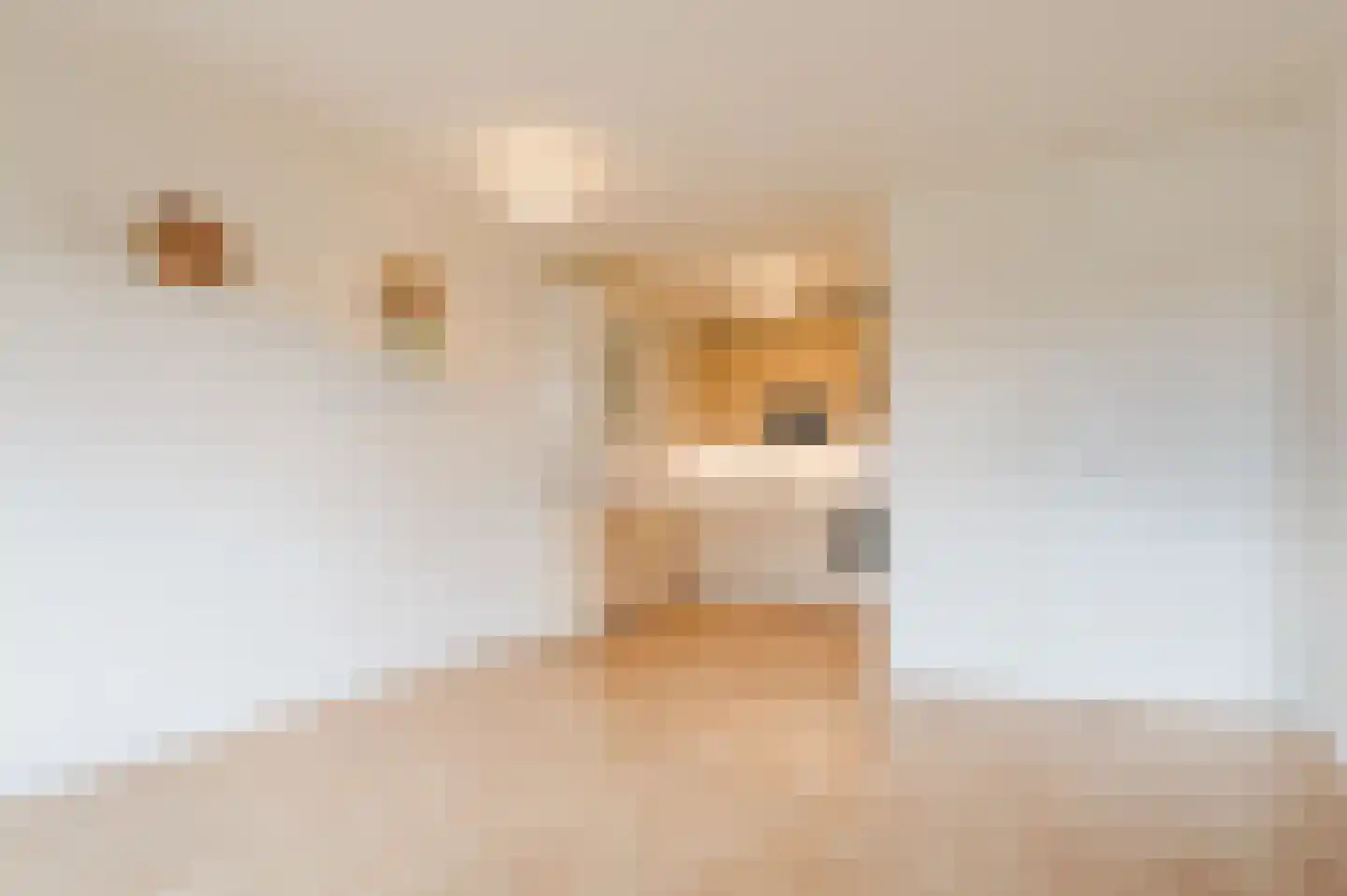Penelopestraat 221 Eindhoven thumbnail 18