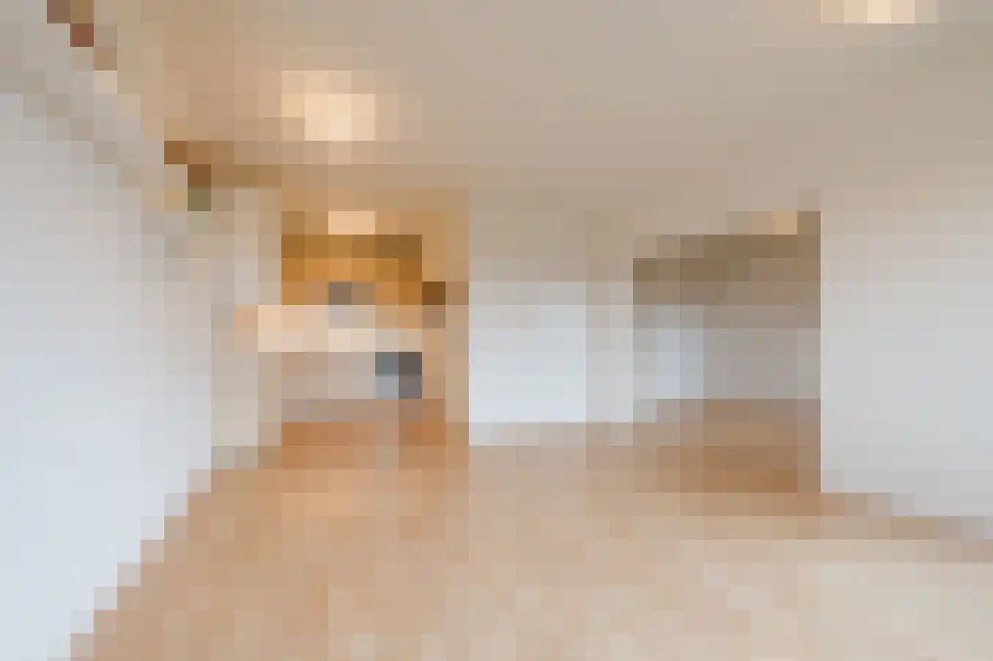 Penelopestraat 221 Eindhoven thumbnail 19