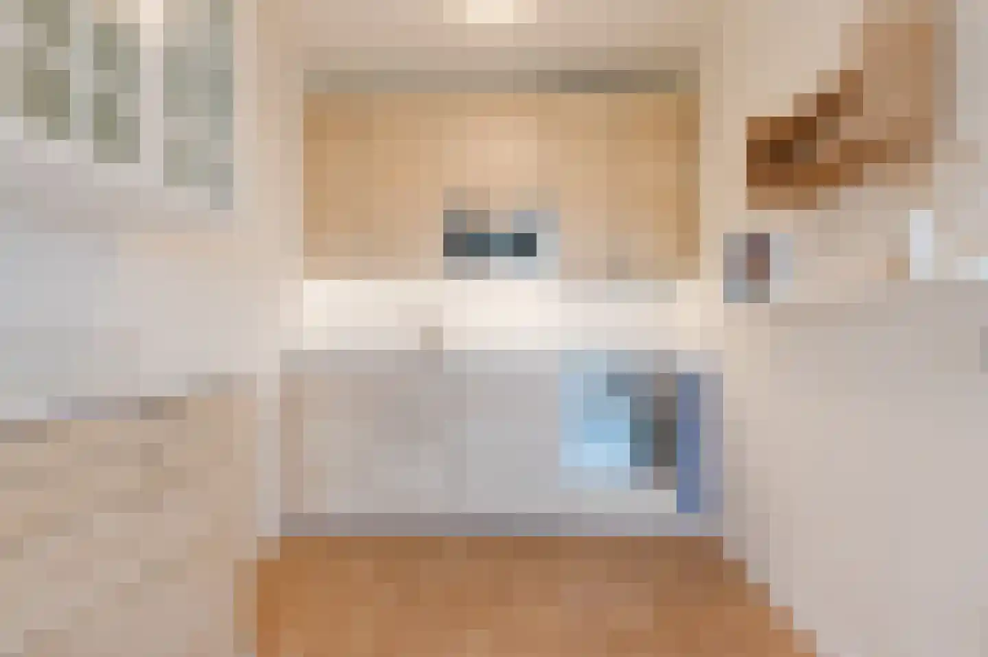 Penelopestraat 221 Eindhoven thumbnail 22