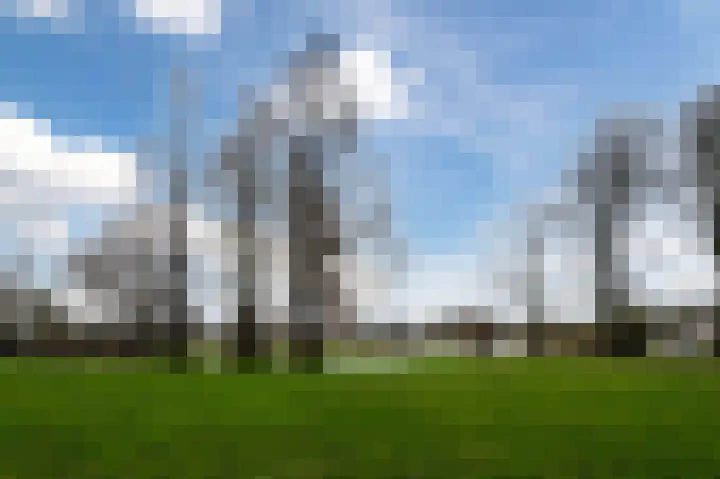 Penelopestraat 221 Eindhoven thumbnail 36