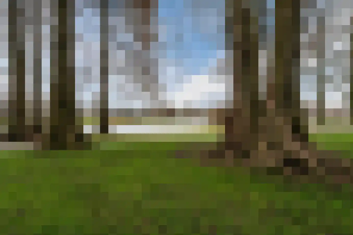 Penelopestraat 221 Eindhoven thumbnail 37