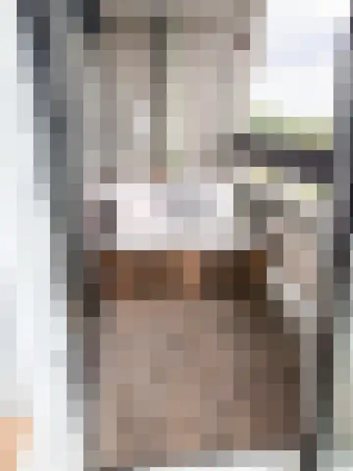 Penelopestraat 223 Eindhoven thumbnail 10