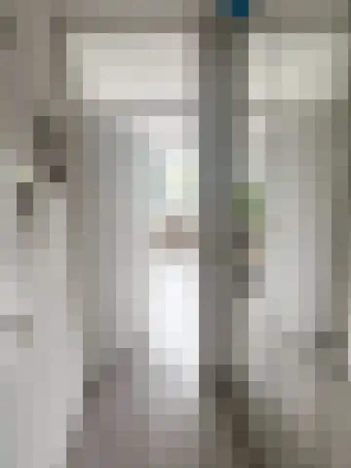 Penelopestraat 223 Eindhoven thumbnail 4