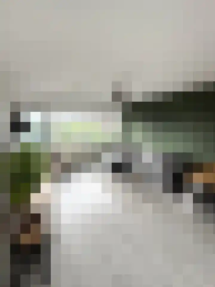 Penelopestraat 223 Eindhoven thumbnail 5