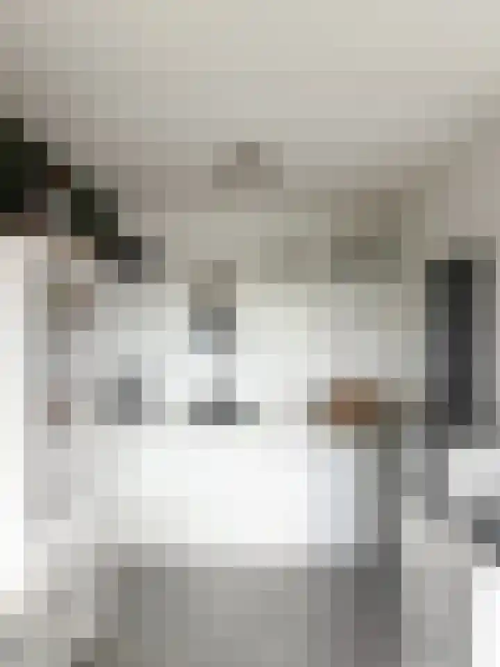Penelopestraat 223 Eindhoven thumbnail 6