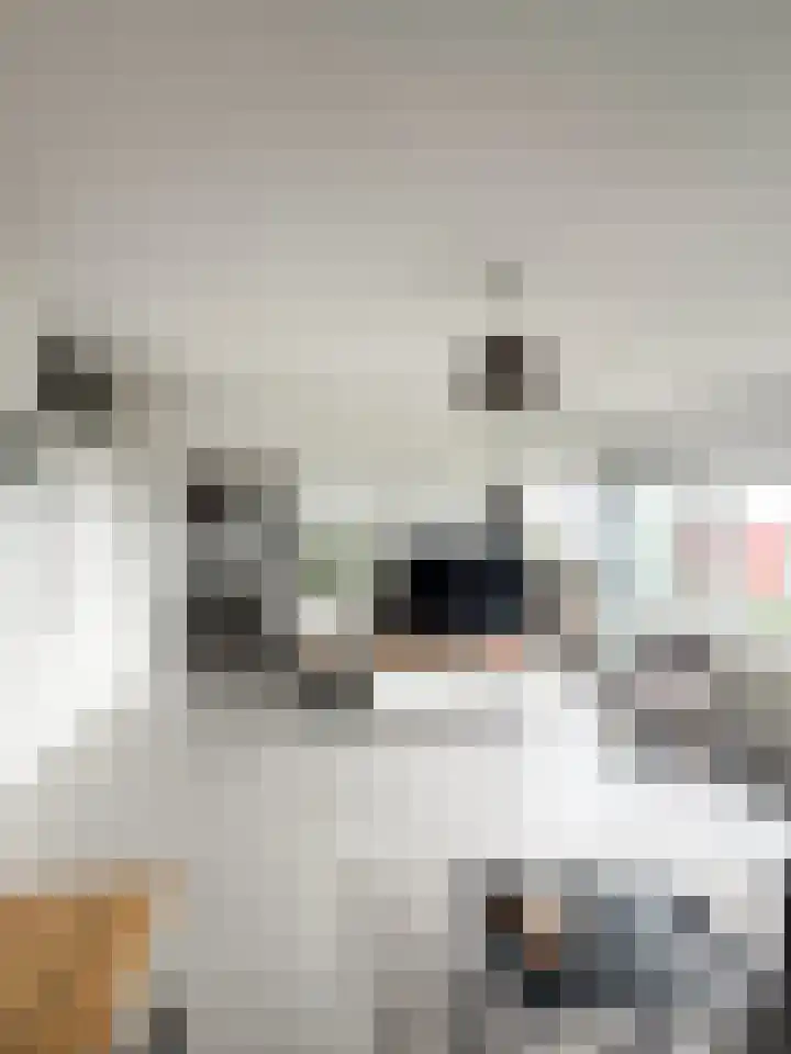 Penelopestraat 223 Eindhoven thumbnail 7
