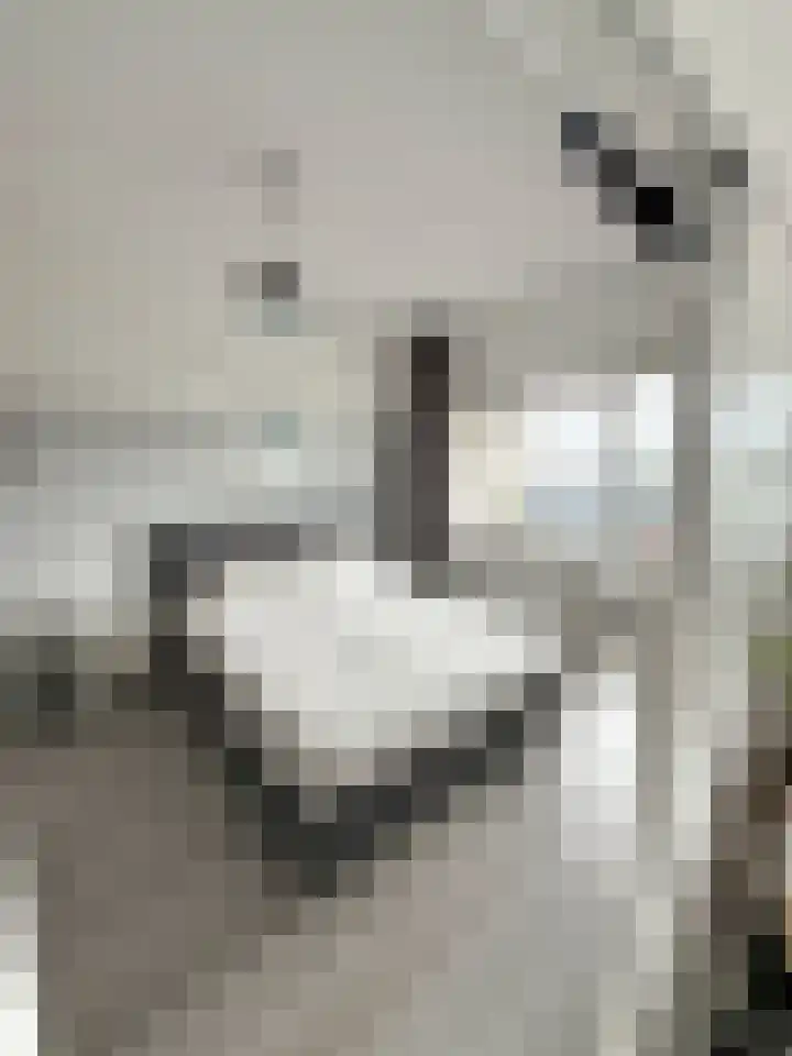 Penelopestraat 223 Eindhoven thumbnail 8