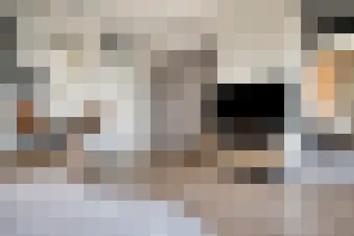 Penelopestraat 229 Eindhoven thumbnail 11