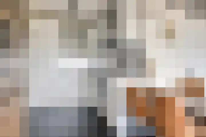 Penelopestraat 229 Eindhoven thumbnail 14