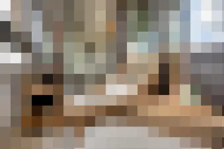 Penelopestraat 229 Eindhoven thumbnail 28