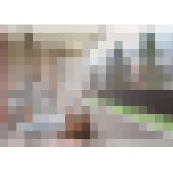 Penelopestraat 25 Eindhoven thumbnail 6