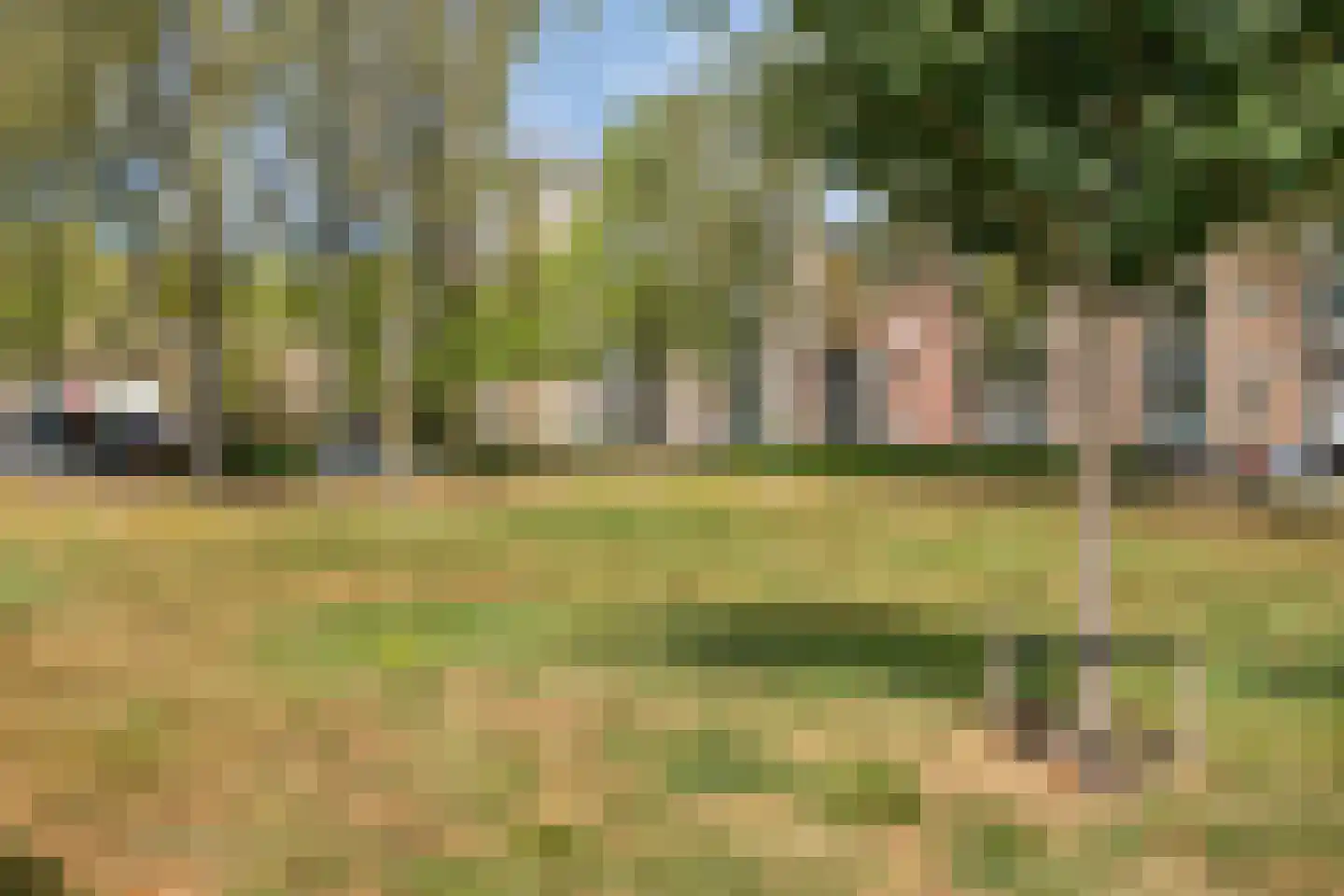 Penelopestraat 271 Eindhoven thumbnail 33