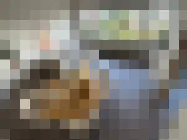 Penelopestraat 271 Eindhoven thumbnail 8