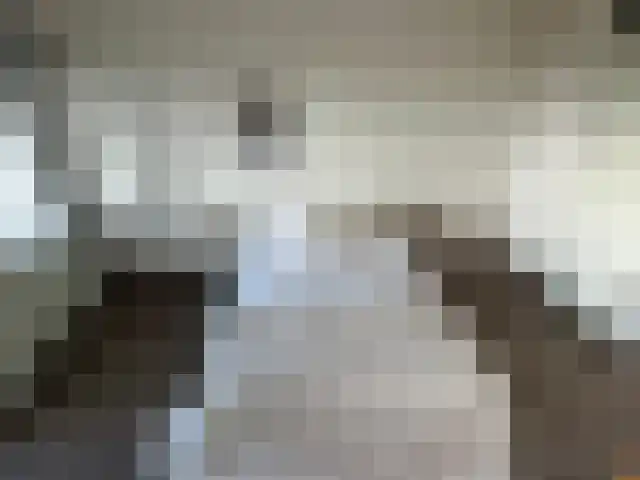 Penelopestraat 271 Eindhoven thumbnail 9