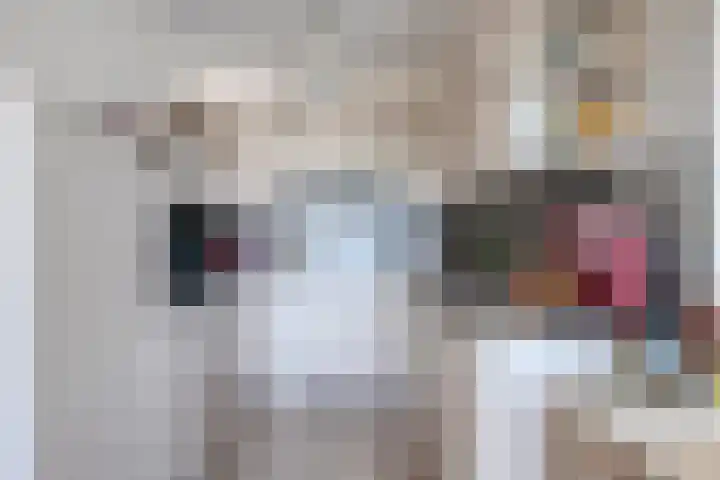 Penelopestraat 279 Eindhoven thumbnail 21