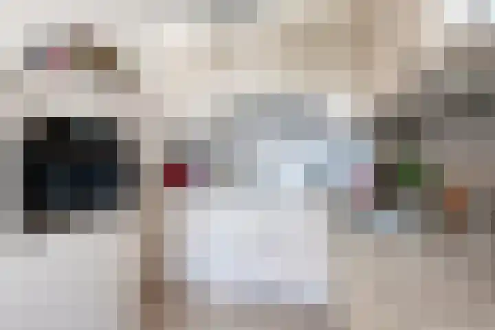 Penelopestraat 279 Eindhoven thumbnail 4