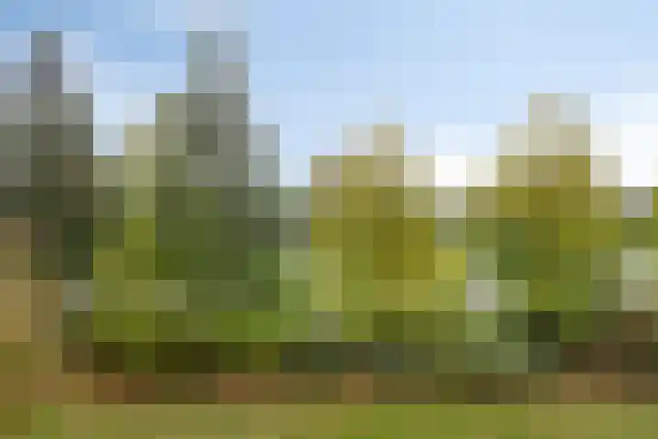 Penelopestraat 73 Eindhoven thumbnail 17